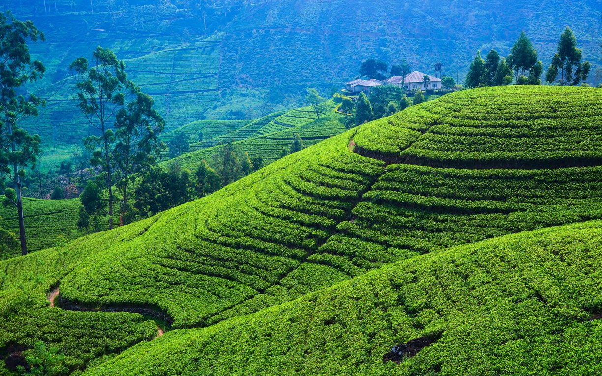 Manipur